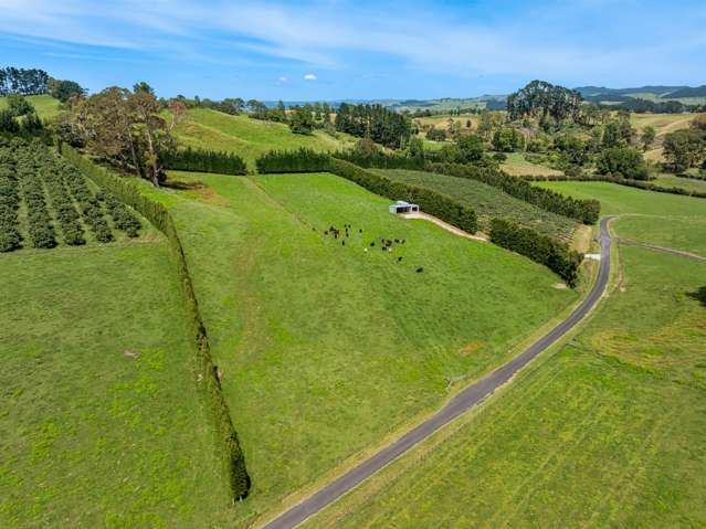 449 Crawford Road Te Puna_4