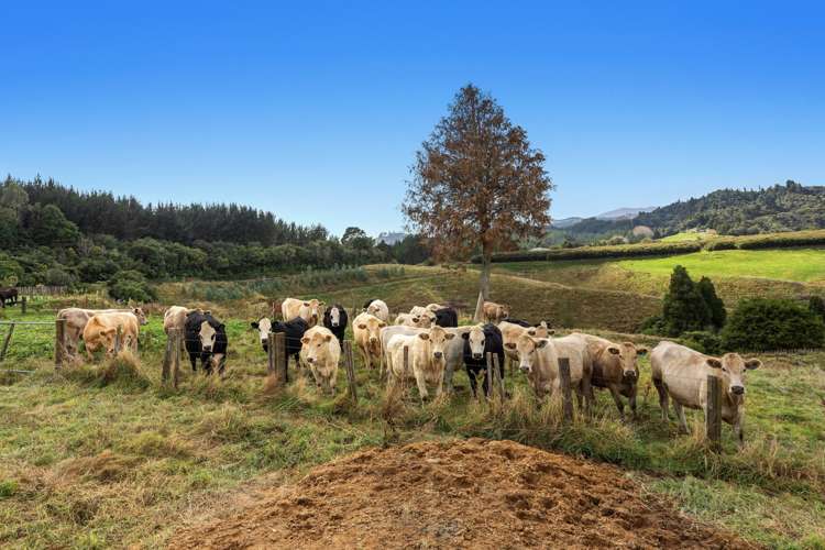 1207C Stanley Road Whakatane_8