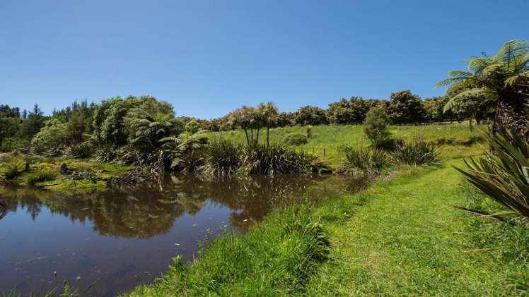 53d Woodland Road Hauraki Surrounds_18