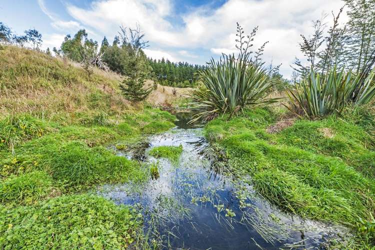 49B Dalbeg Road Balcairn_12