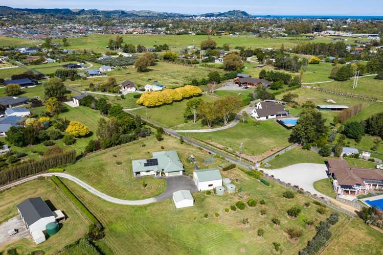 99 Hansen Road Makauri_20