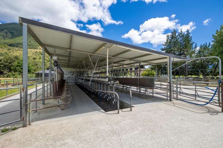 1153 Shenandoah Highway Murchison_6