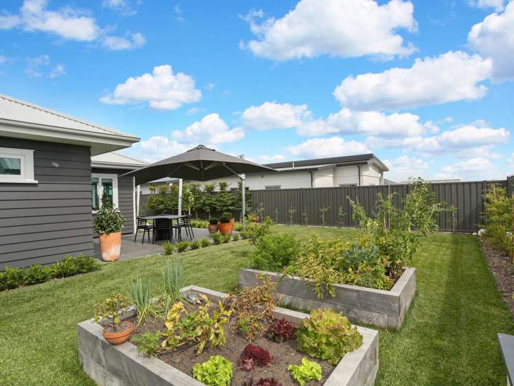 27 Percy Berry Place Havelock North_13