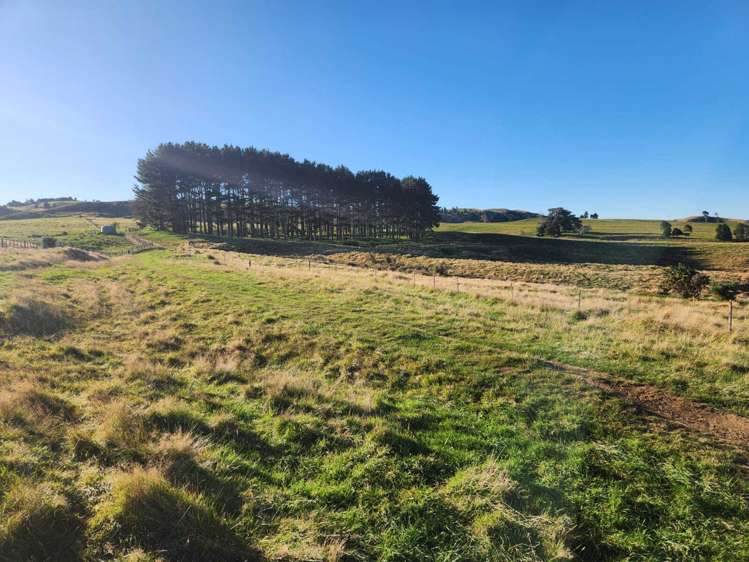 319 Ohautira Road Raglan_3