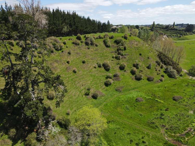 2/573 Tirau Road Cambridge_10