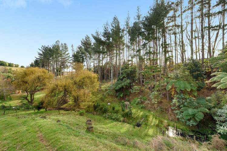 52 Panorama Drive Welcome Bay_2