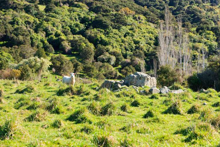 53 Grange Road Kaikoura_10