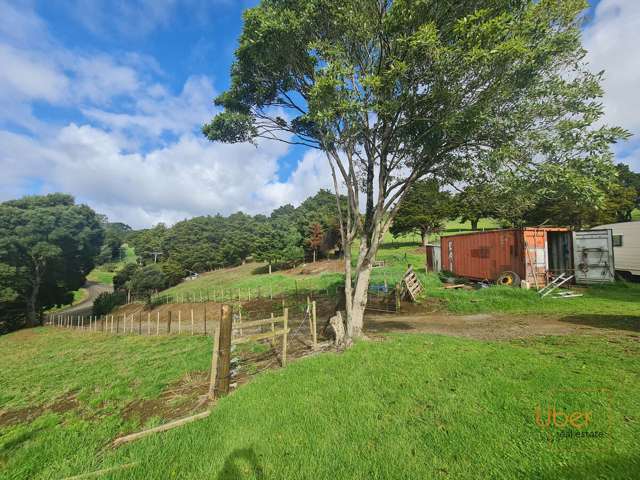 1039 Trounson Park Road Dargaville Surrounds_3