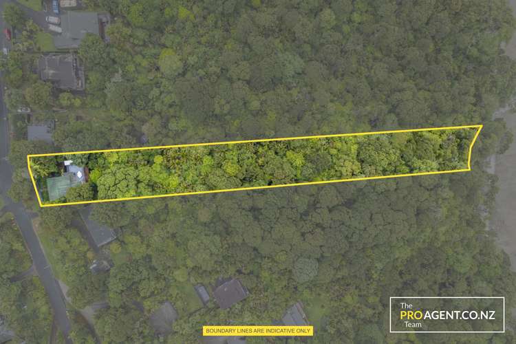 26 Kauri Point Road Laingholm_26