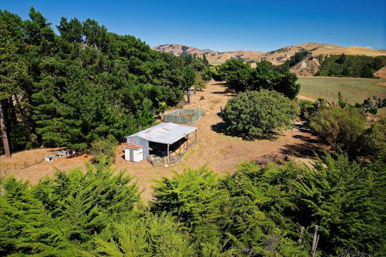 189 Gulch Road Ward_19