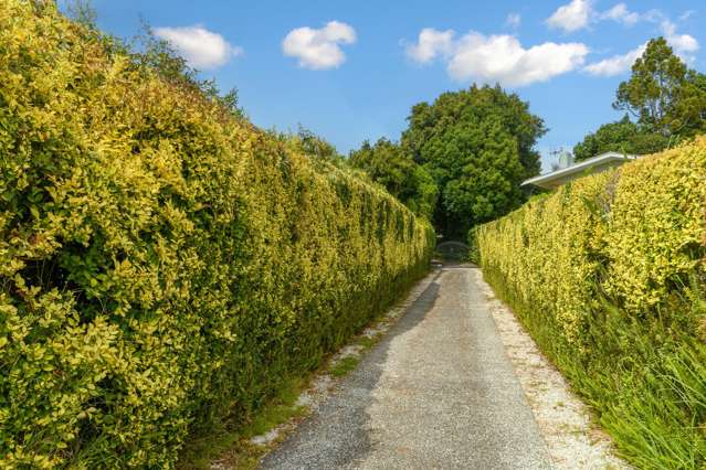 36 Levers Road Matua_2
