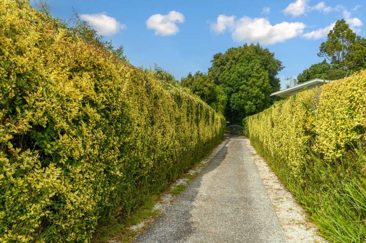 36 Levers Road Matua_2