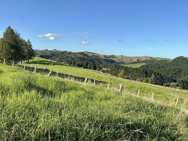 Lot 2/DP199746 Wech Access Tahekeroa_4