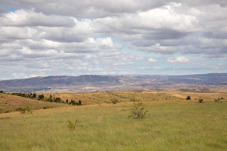 Lot 34 Nelson Ridge Road Alexandra_5