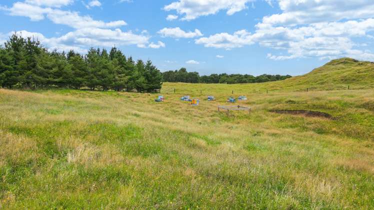 49B Olds Road Ngongotaha Valley_24