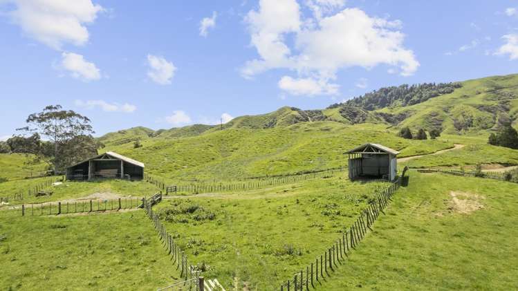 2806 Te Anga Road Te Anga_10