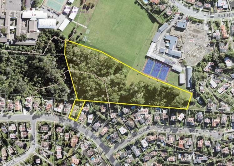 85 John Downs Drive Northcross_8