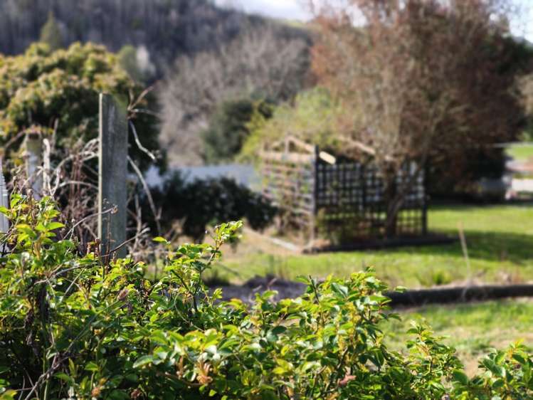 1 Pladda Street Lawrence_2