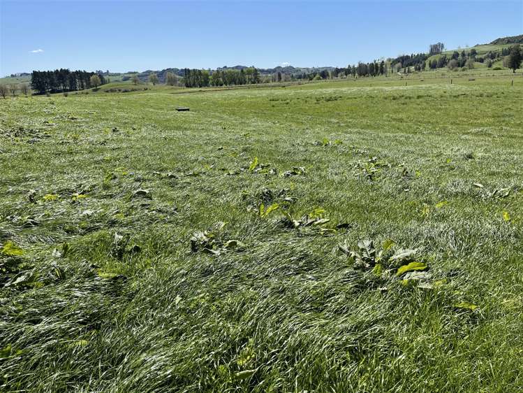 135 Whataroa Road Te Kuiti_20