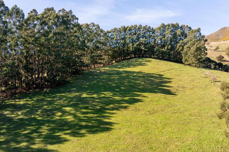82 Purple Peak Road Akaroa_23