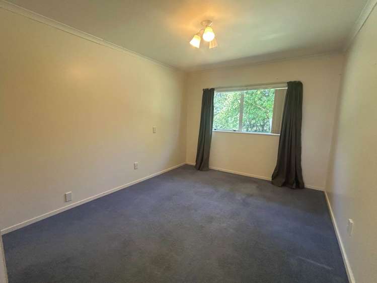 174 Stewart Road Whakamarama_5