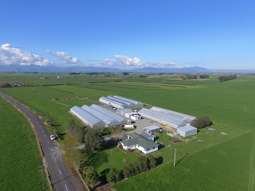 Hothouse flower business in Waikato sprouts