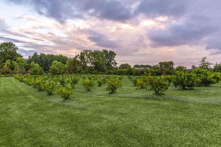 1079 Kahikatea Flat Road Waitoki_21