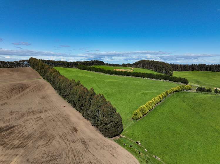 30 Frazer Road Gore Surrounds_18