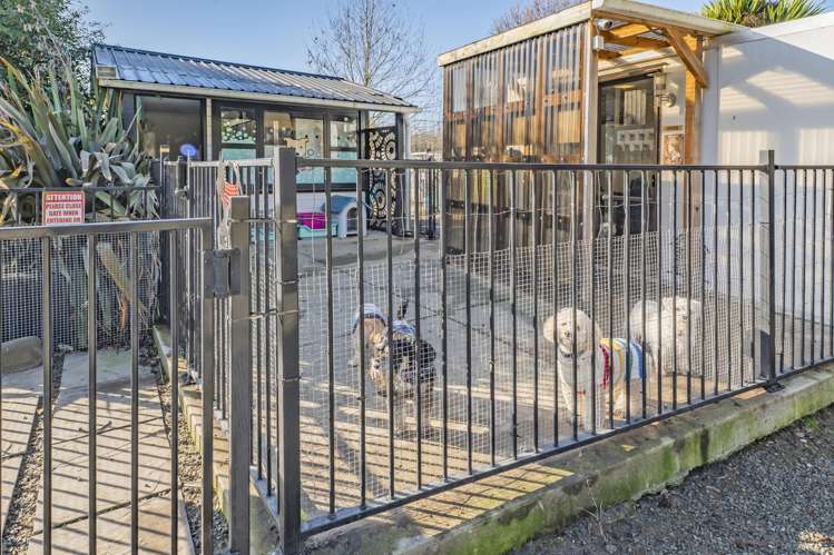 8A Manse Street Hampstead_26