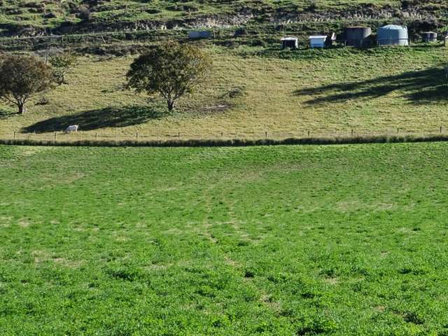 Pukeuri-Oamaru Road Oamaru_3