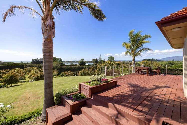 11B Stokes Road Katikati_10