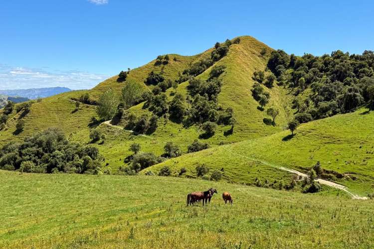 131 Rangitane Road Mangaweka_10