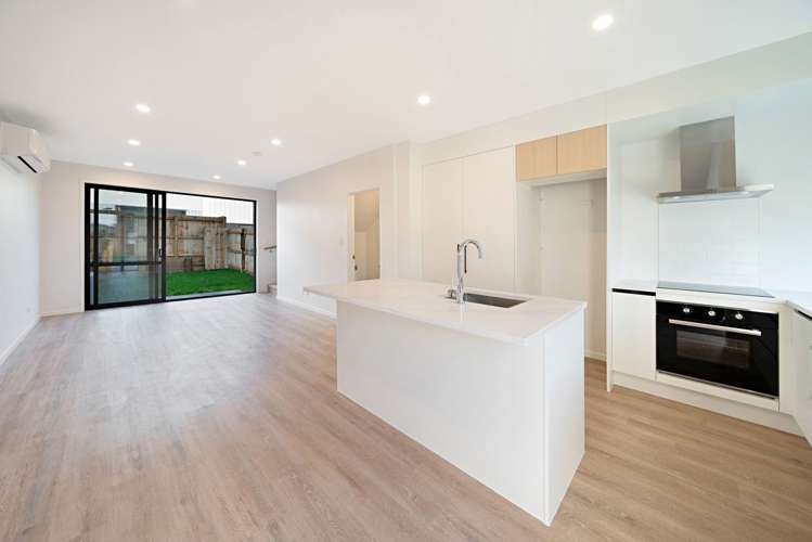 15 Clay Works Lane New Lynn_5