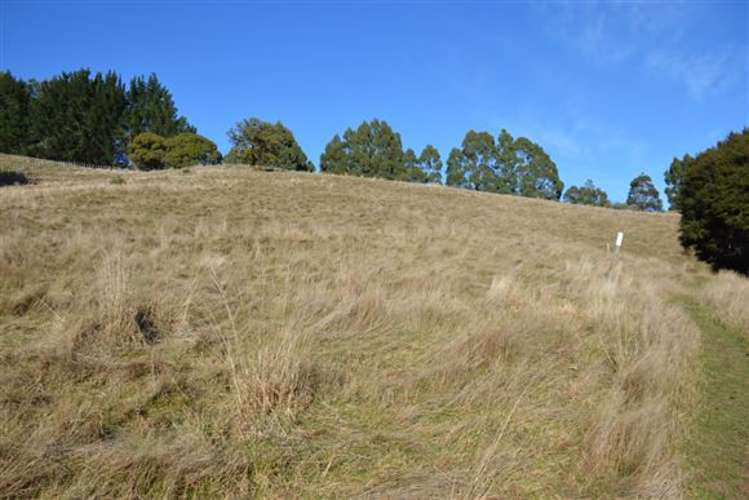 194 Grehan Valley Road Akaroa_5