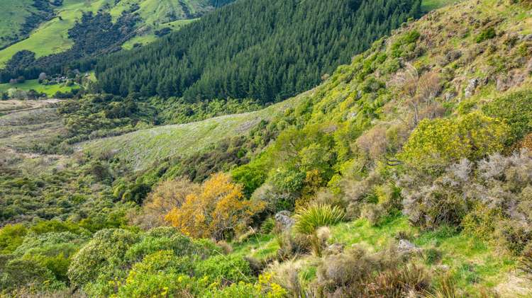 1301 Western Valley Road Port Levy_7