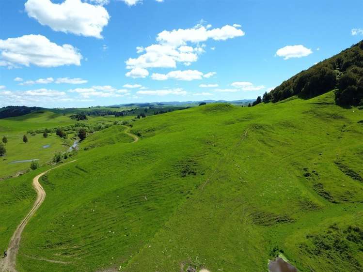 414 Kahuwera Road Te Kuiti_8