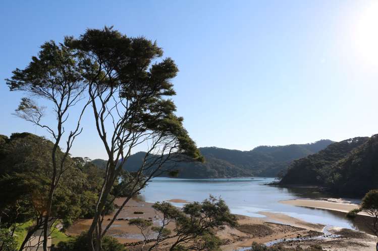 689 Whangaparapara Road Great Barrier Island (Aotea Island)_21