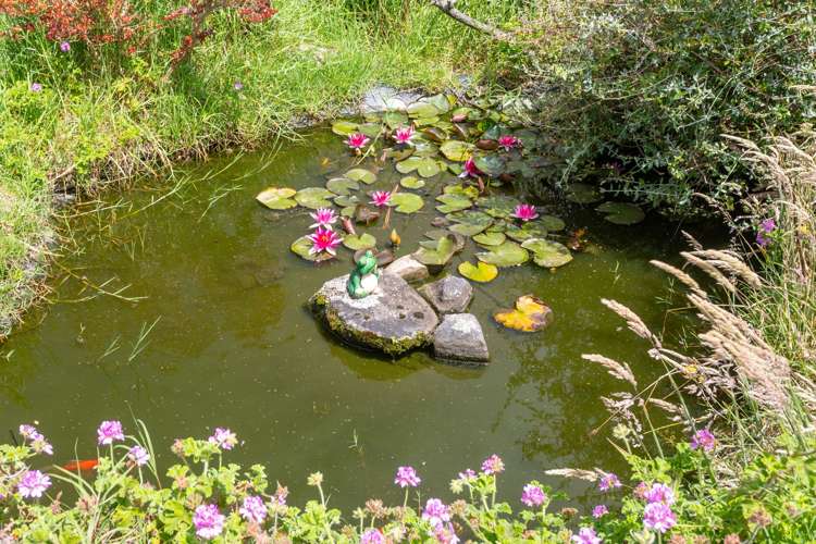 222 Strange Road Paeroa_23