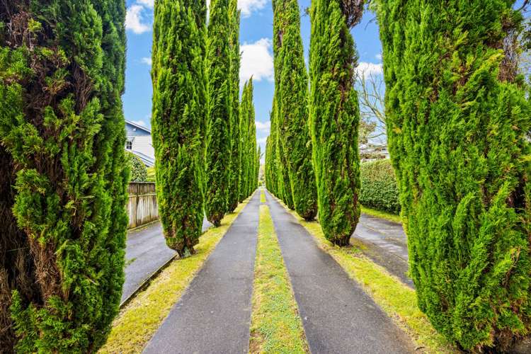 20b Golf Road Epsom_24