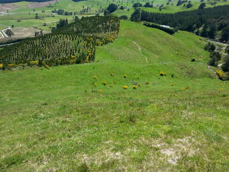 215 Forest Road Oruanui_9