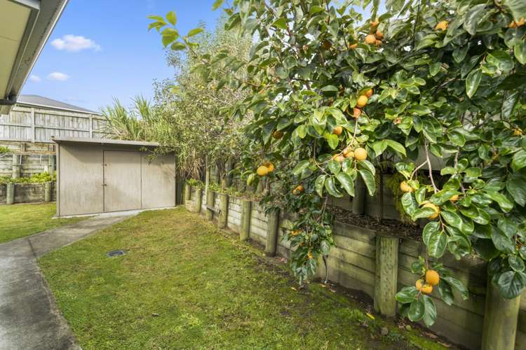 7 Fleur Place Te Puke_15