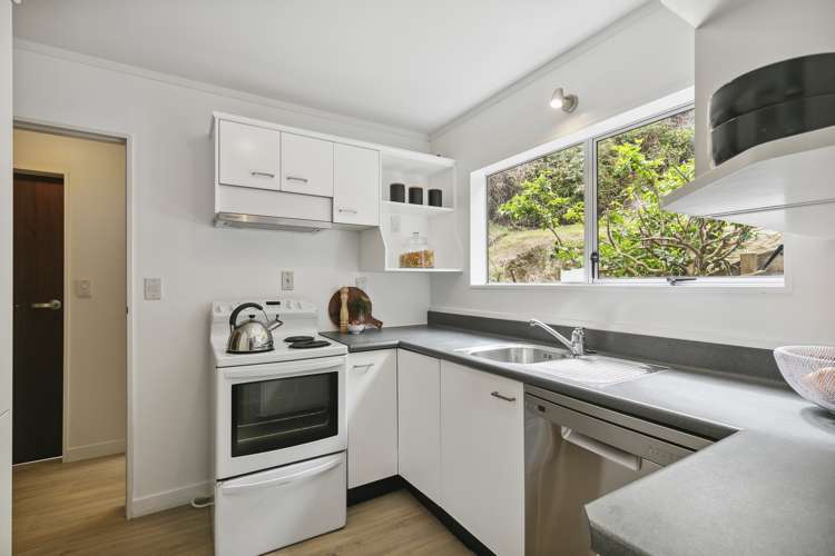 11 Tralee Place Johnsonville_6