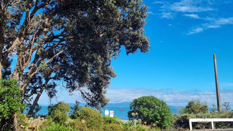 4 Trotter Avenue Waiomu_28