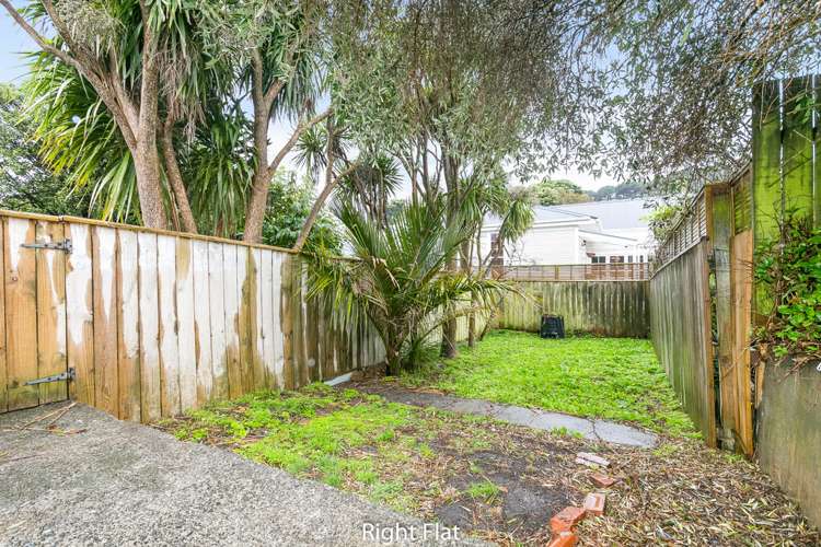 219 Rintoul Street Berhampore_8