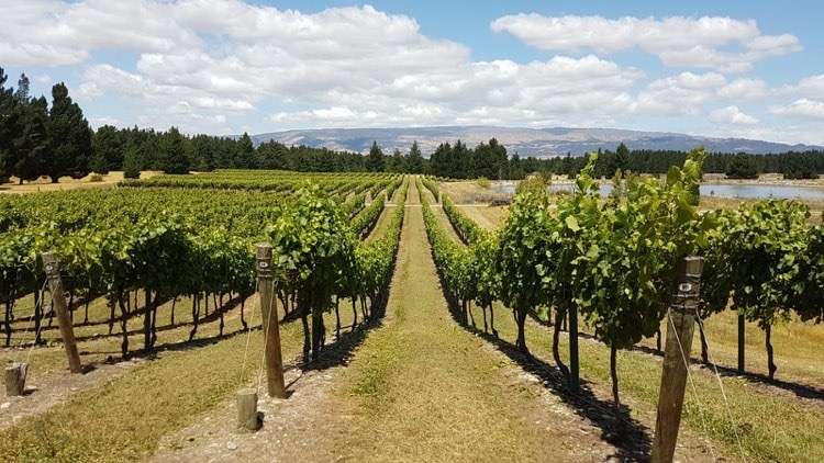 351 Maori Point Road Tarras_15