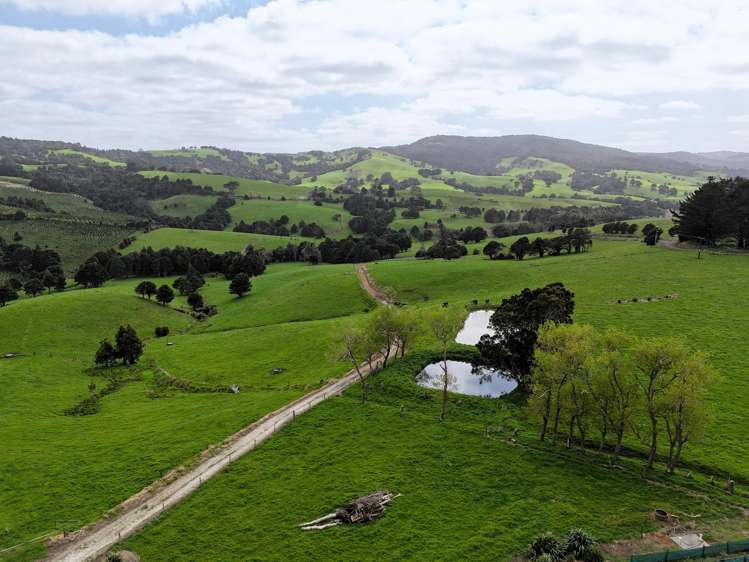 65 Proud Road Dargaville Surrounds_23