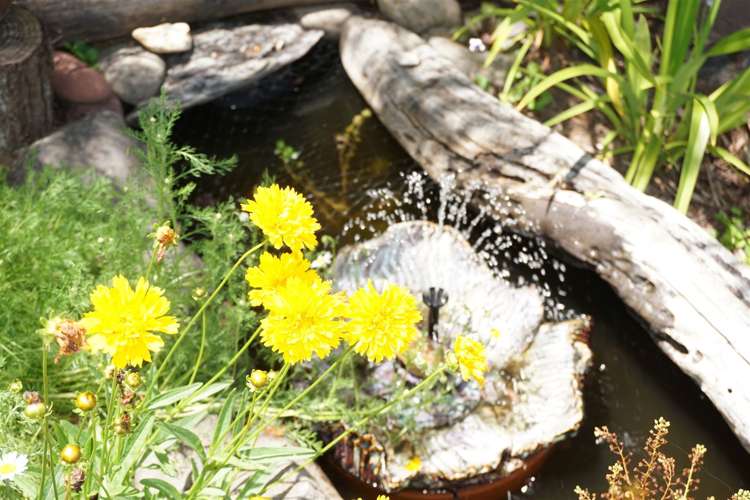 31 Otuturu Crescent Thames_6