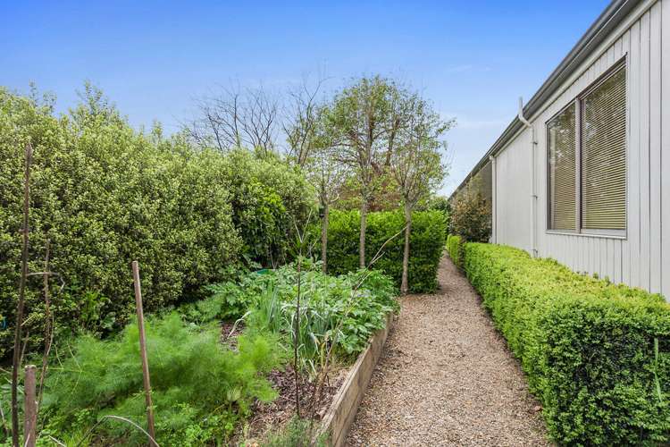 6 Bent Street Putaruru_5