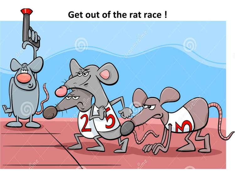 1108 Churchill Road Pukekawa_8