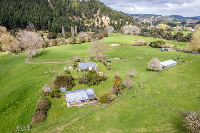 1471 Mangamahu Road Mangamahu_1